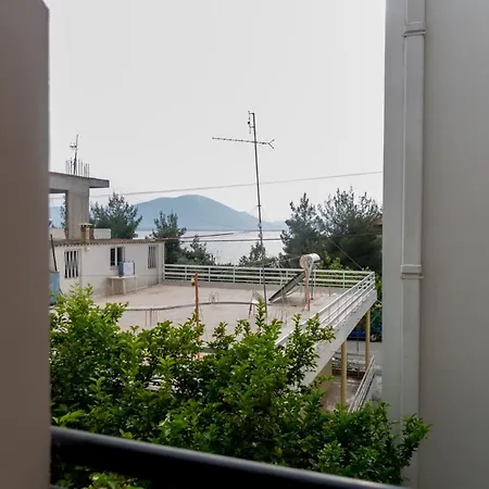 Apartament W *